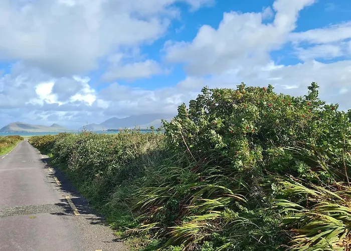 Seaside - Wild Atlantic Way 別荘 *